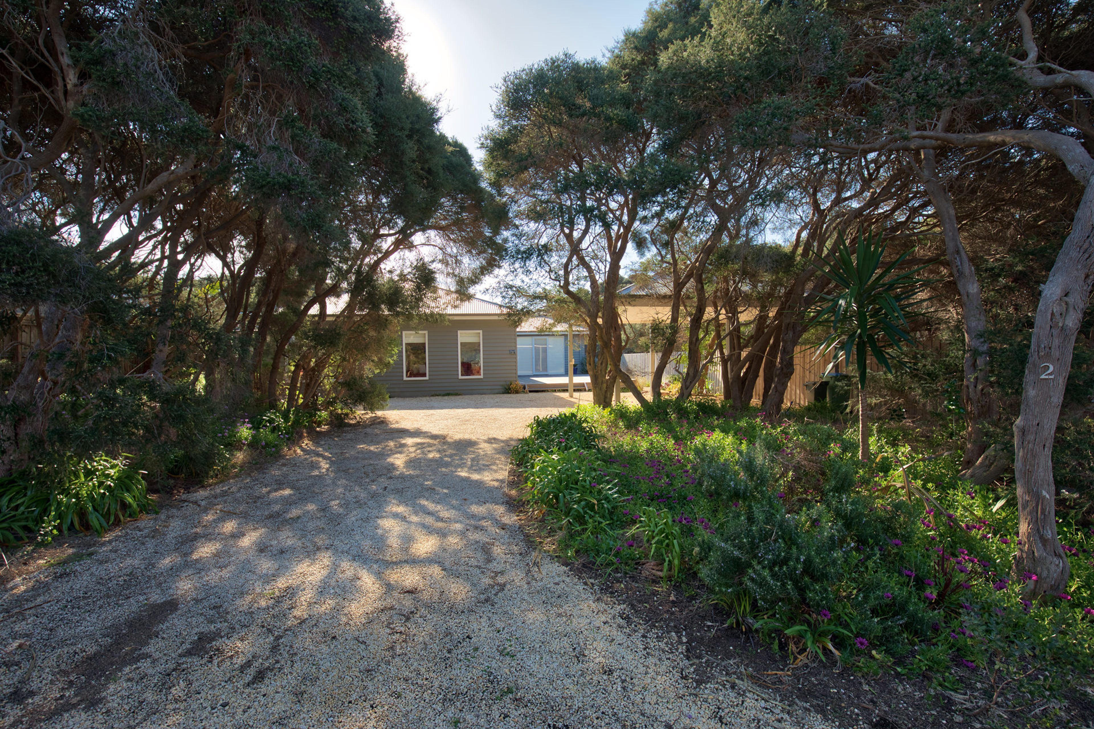 A gravel driveway leading to a house surrounded by dense trees.