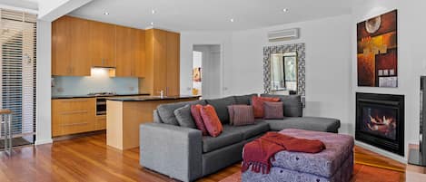 TV, fireplace, DVD player