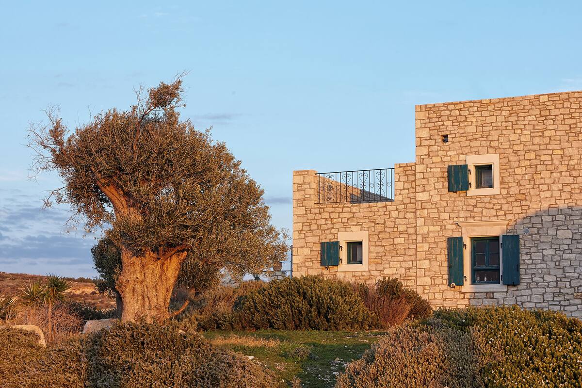 Un bâtiment en pierre avec un grand arbre devant.