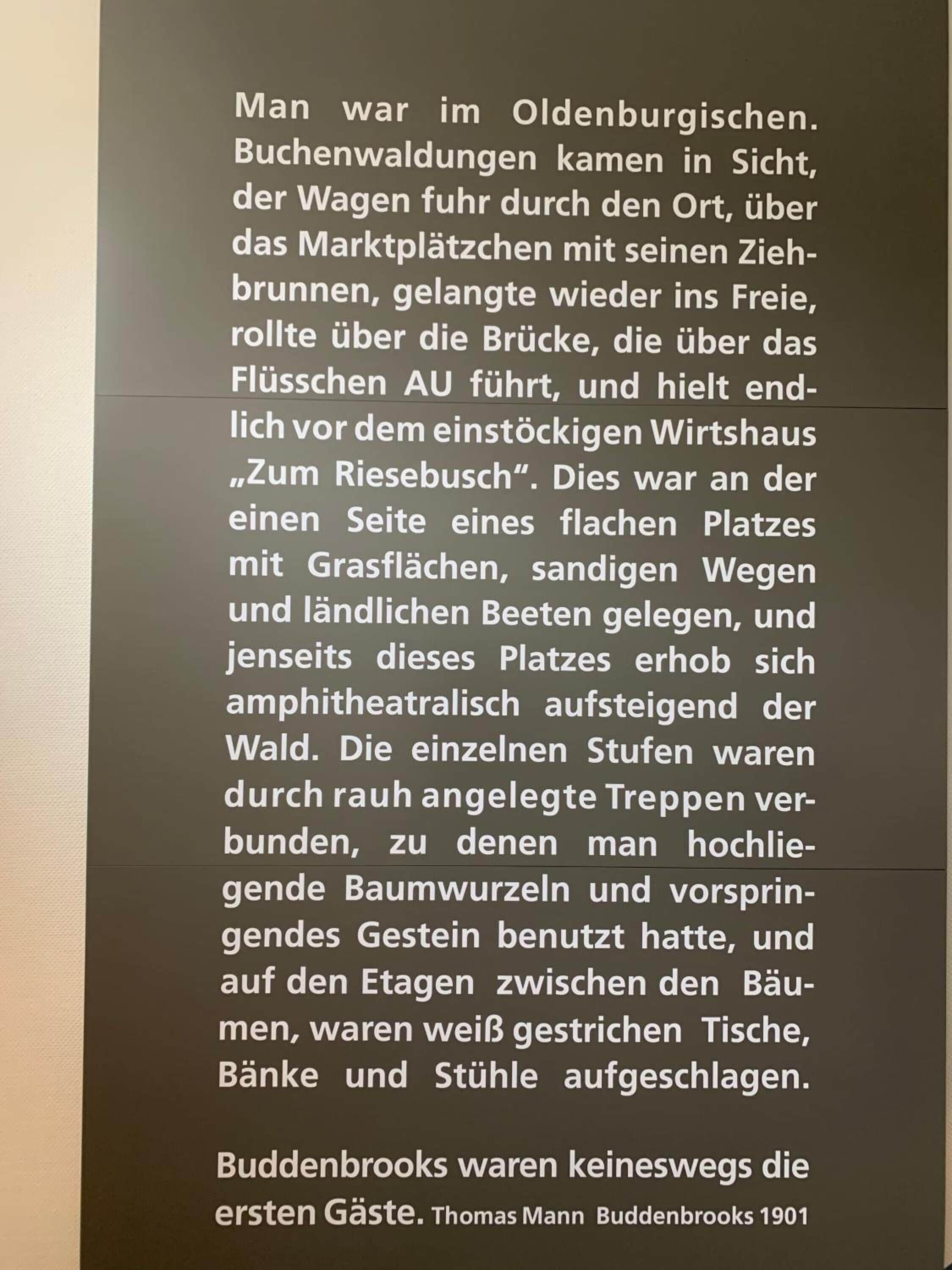 Eine Textseite, die eine Szene in Oldenburg beschreibt.