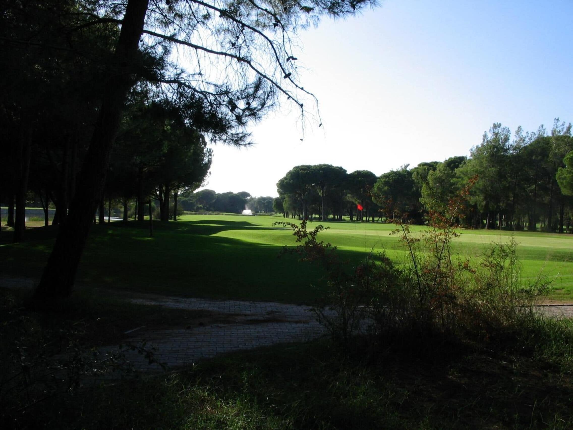 Un parcours de golf avec un tracé bien défini, des arbres et un drapeau.