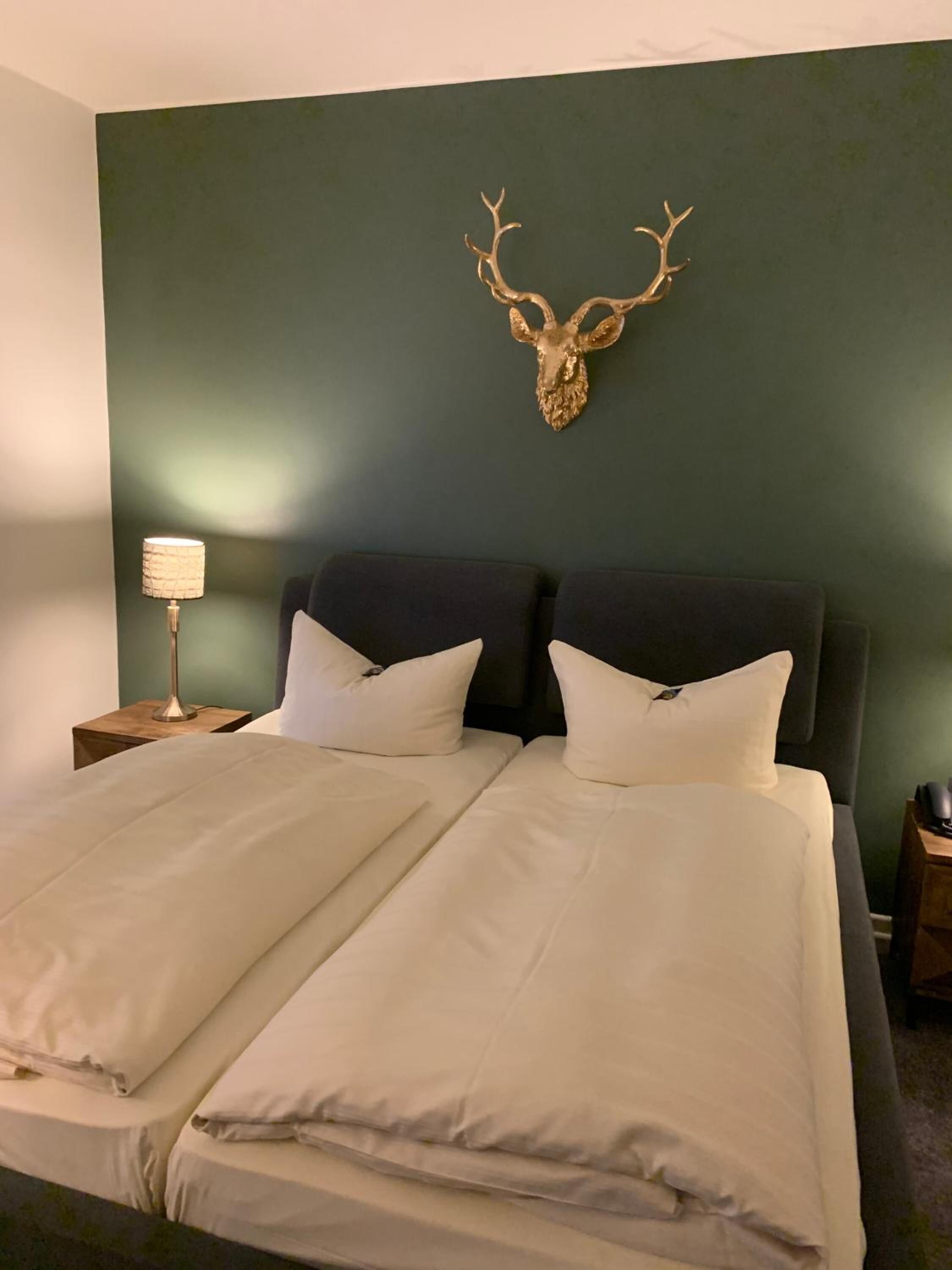 A hotel room with a bed, two pillows, a nightstand with a lamp, and a wall-mounted deer head decoration.