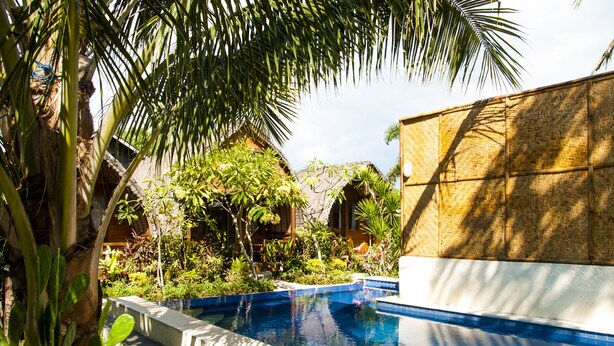 A swimming pool surrounded by lush greenery and a bamboo wall. - Cotton Tree Cottages (Gili Trawangan)
