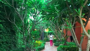 A pathway flanked by lush greenery and trees, leading to a building with a red wall. - Baan Noppadol Hua Hin Loft Hotel (Hua Hin)