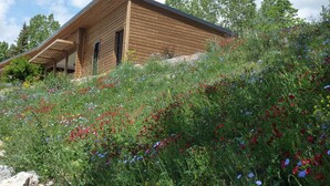 Une cabane en bois, dotée d’un toit à pente, entourée d’un jardin luxuriant où poussent de nombreuses variétés de fleurs sauvages.