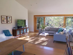 Smart TV, chimenea y libros 