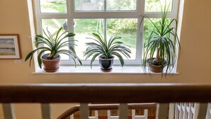 Three potted plants on a windowsill with a view of a garden outside. - Gutshaus Barkow (Barkhagen)