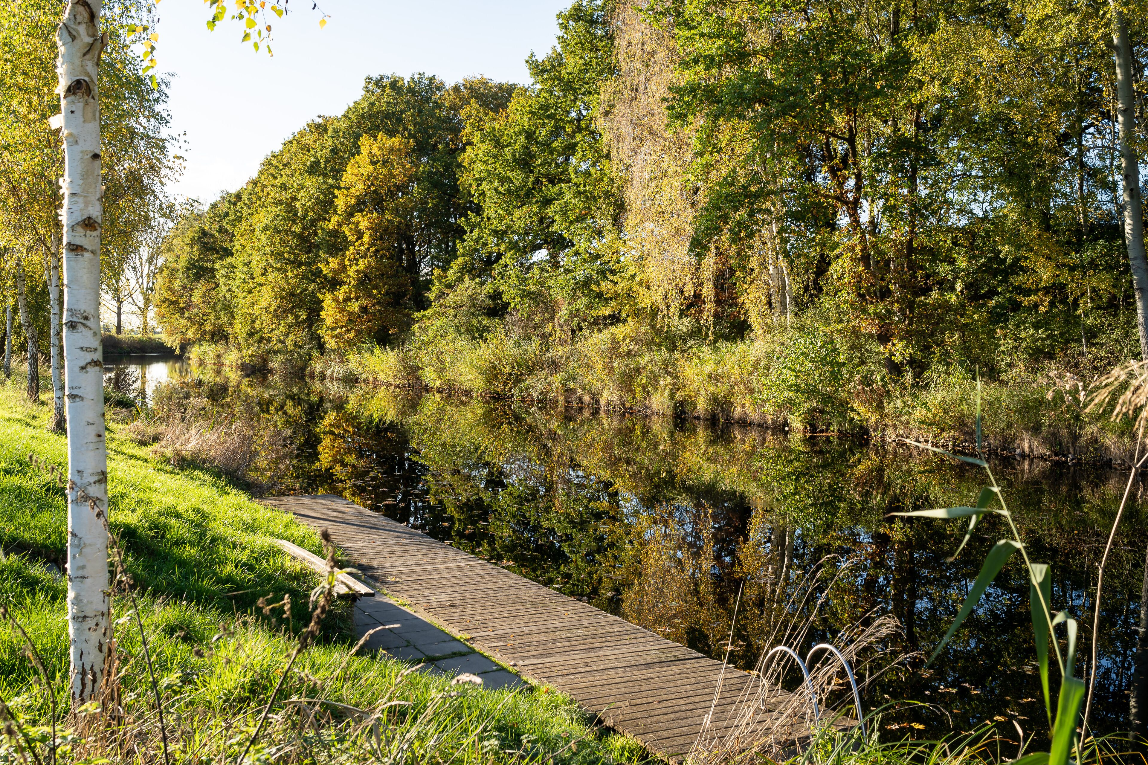 A wooden boardwalk along a calm river, surrounded by lush greenery and trees.