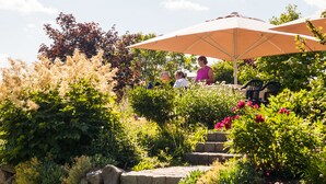 A garden area with stone steps, a large umbrella, and various plants and flowers. - Gutshaus Barkow (Barkhagen)