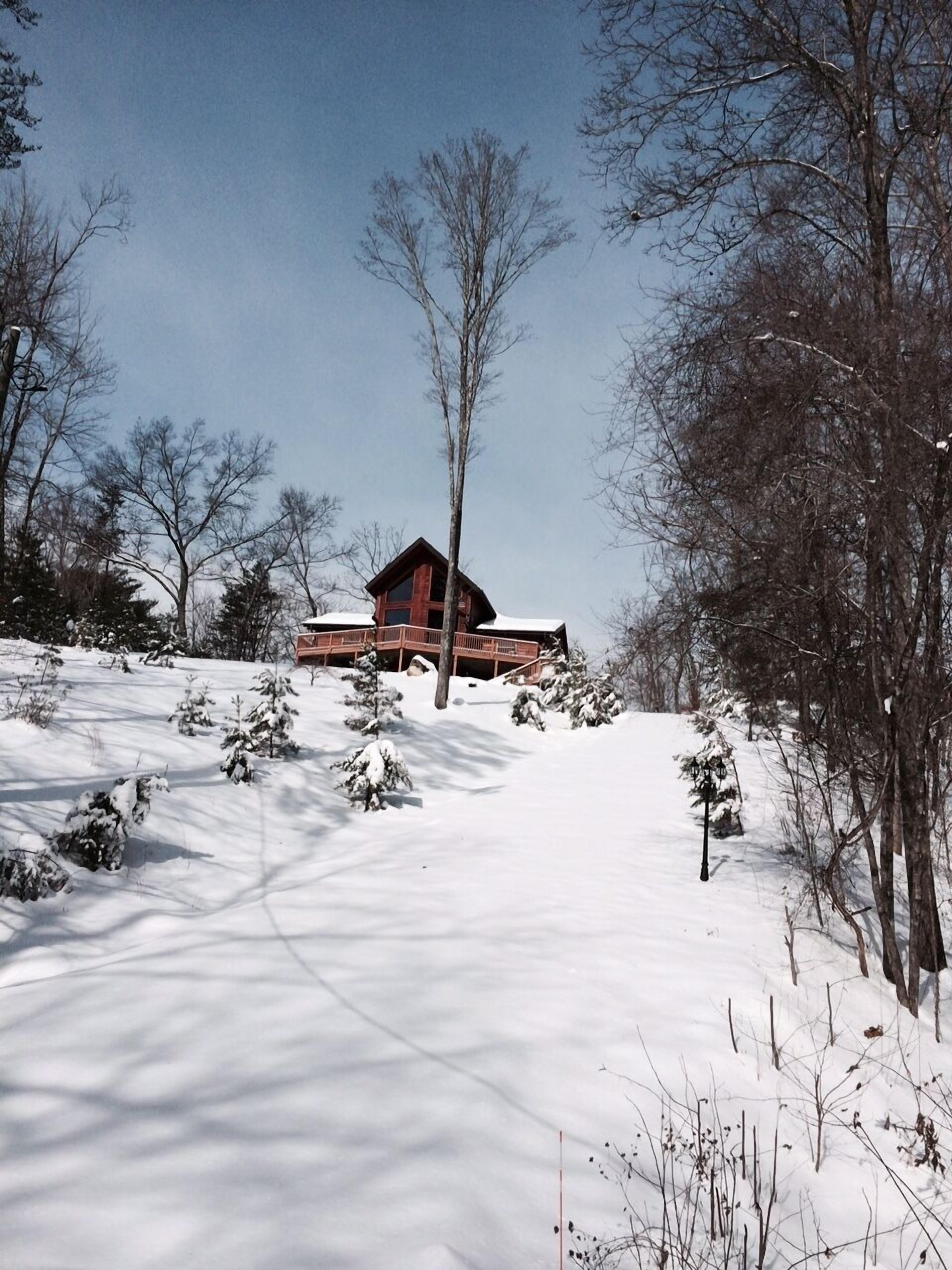 A cabin with a wooden exterior, surrounded by snow-covered trees and a clear sky.