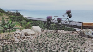 Vista sulla costa con bicicletta e piante in vaso.
