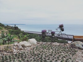 庭園