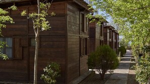 Un edificio de estilo cabaña de madera con un sendero de piedra que conduce hacia él.