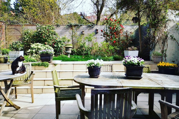Comfort Room, 1 King Bed, Garden View | Garden view