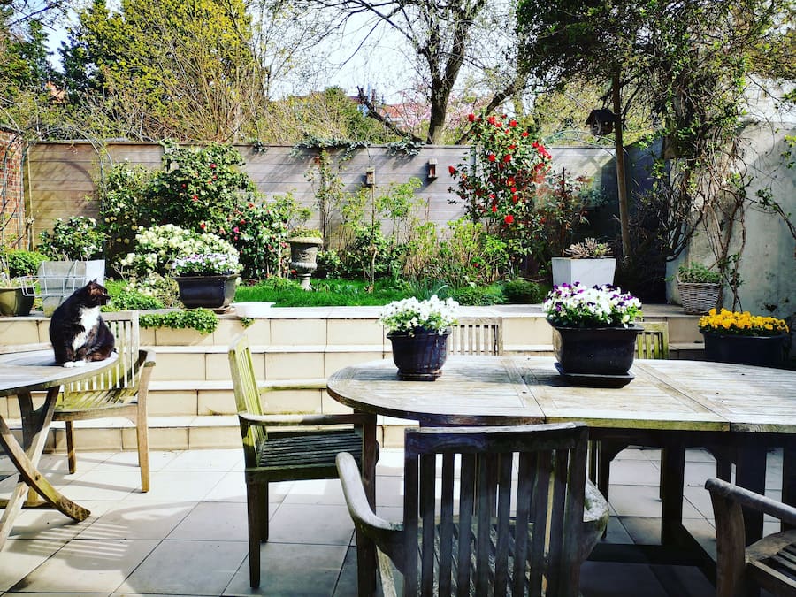 Comfort-Zimmer, 1 King-Bett, Gartenblick | Blick auf den Garten