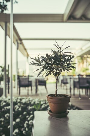 Terrazza/patio