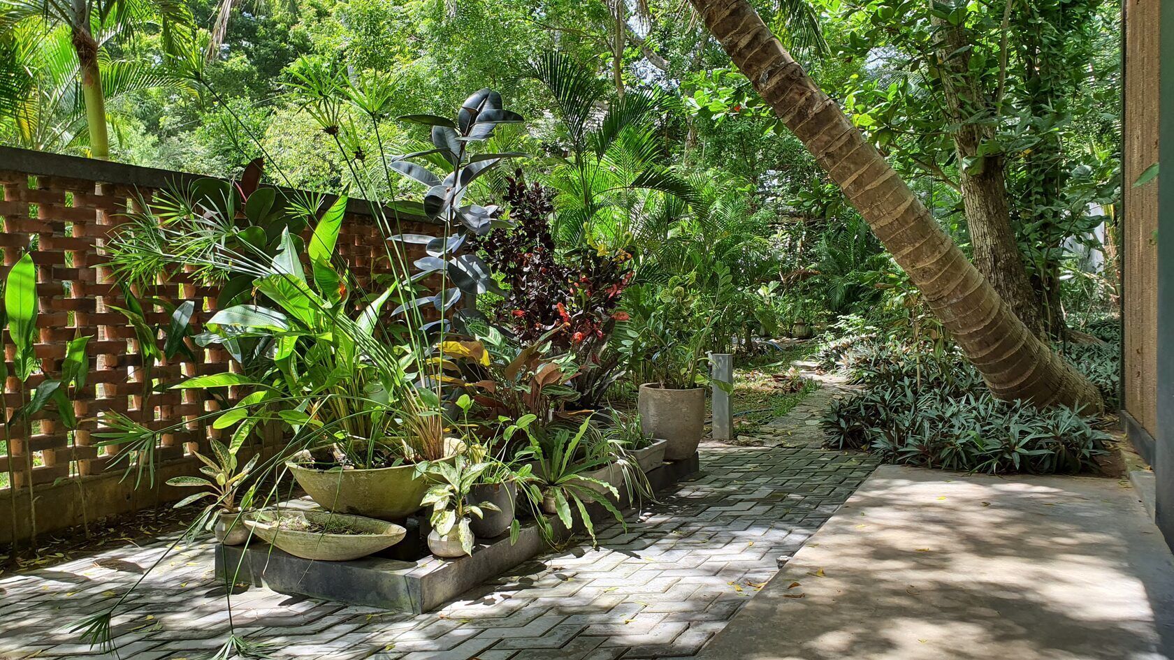 one bedroom apartment with garden view and patio | view from room