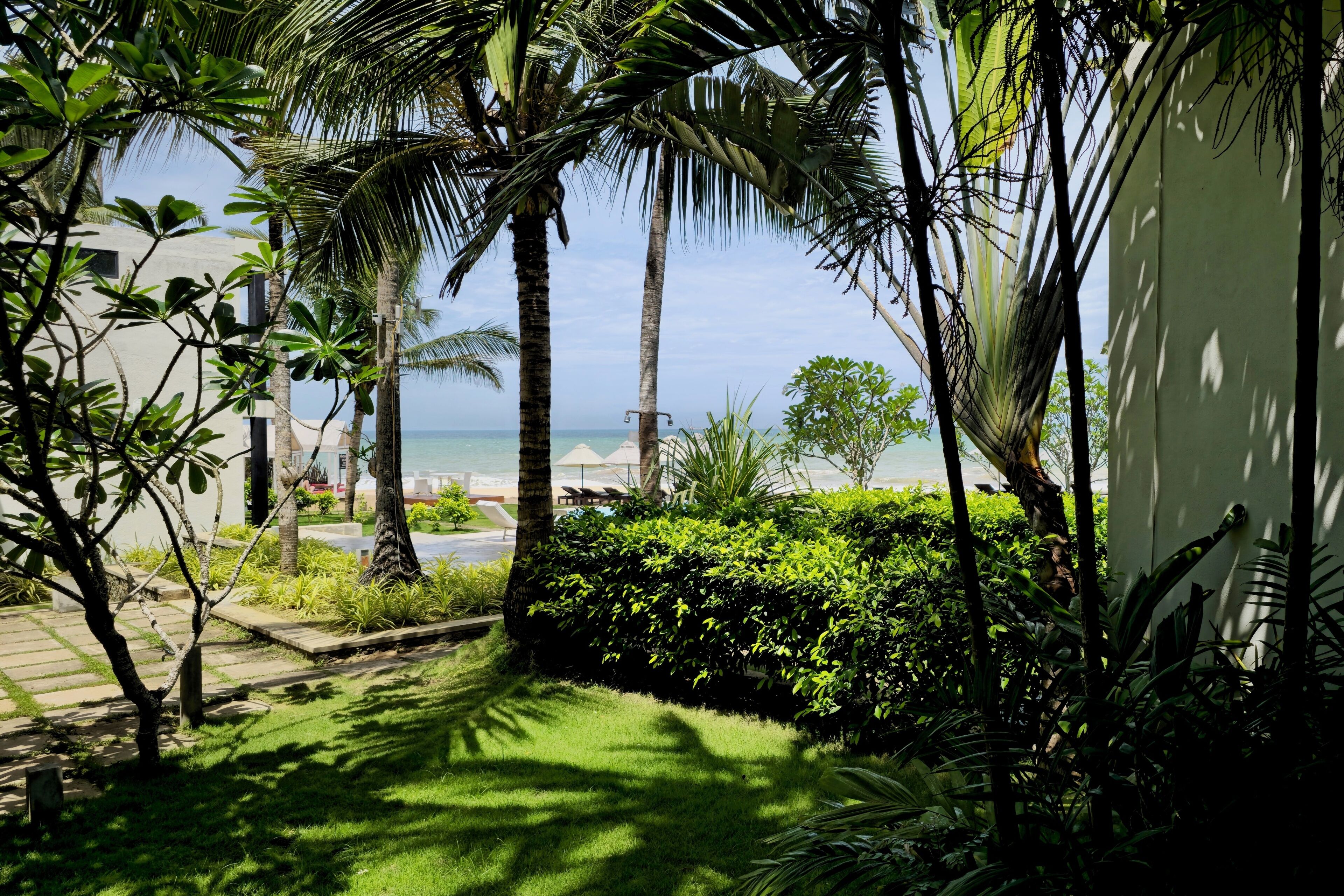 A lush garden with palm trees and a view of the beach.