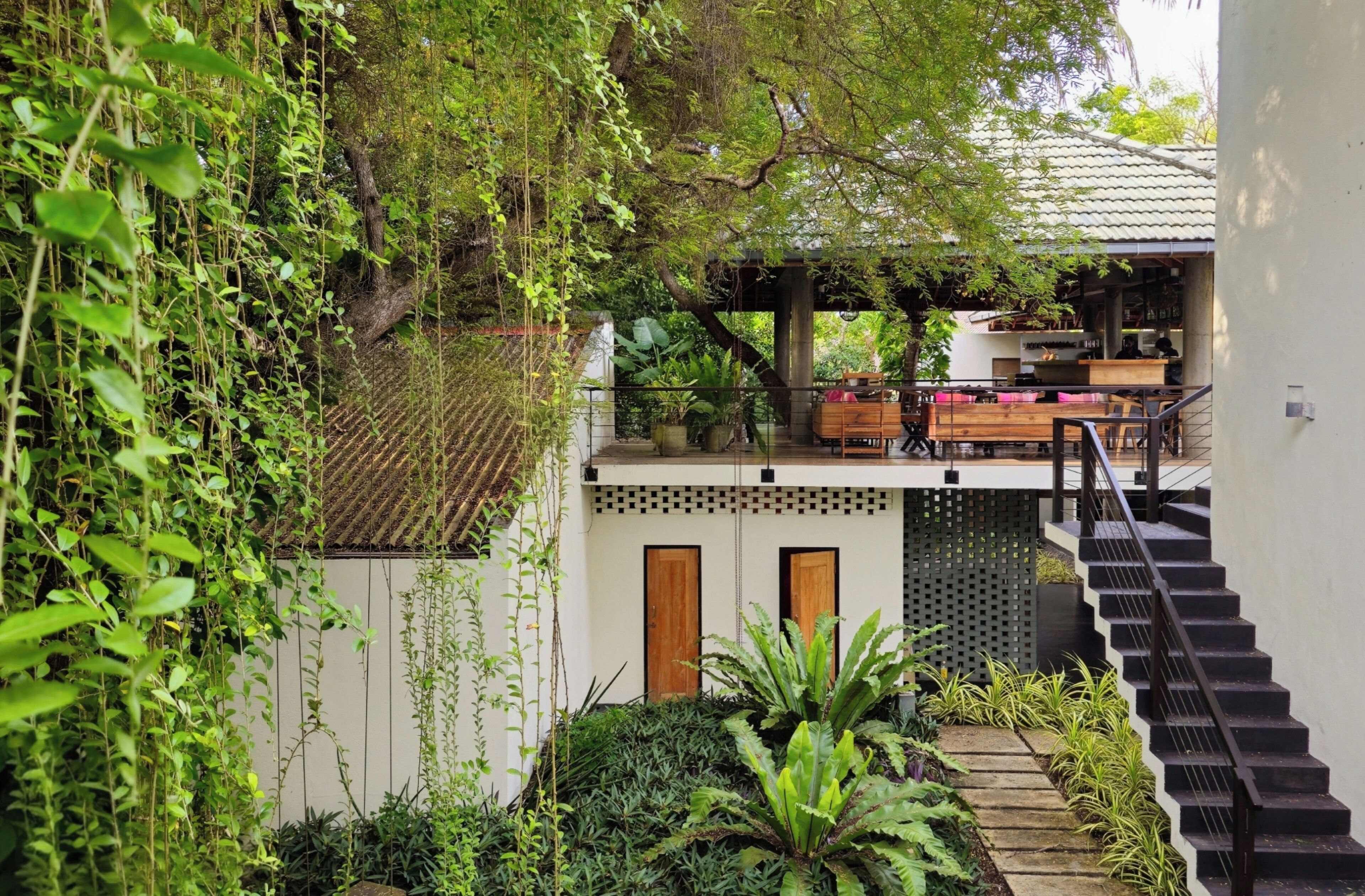 Un espacio exterior de varios niveles con terraza de madera, escalera y abundante vegetación.