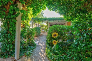 Un sendero de piedra flanqueado por abundante vegetación y una estructura de pérgola.
