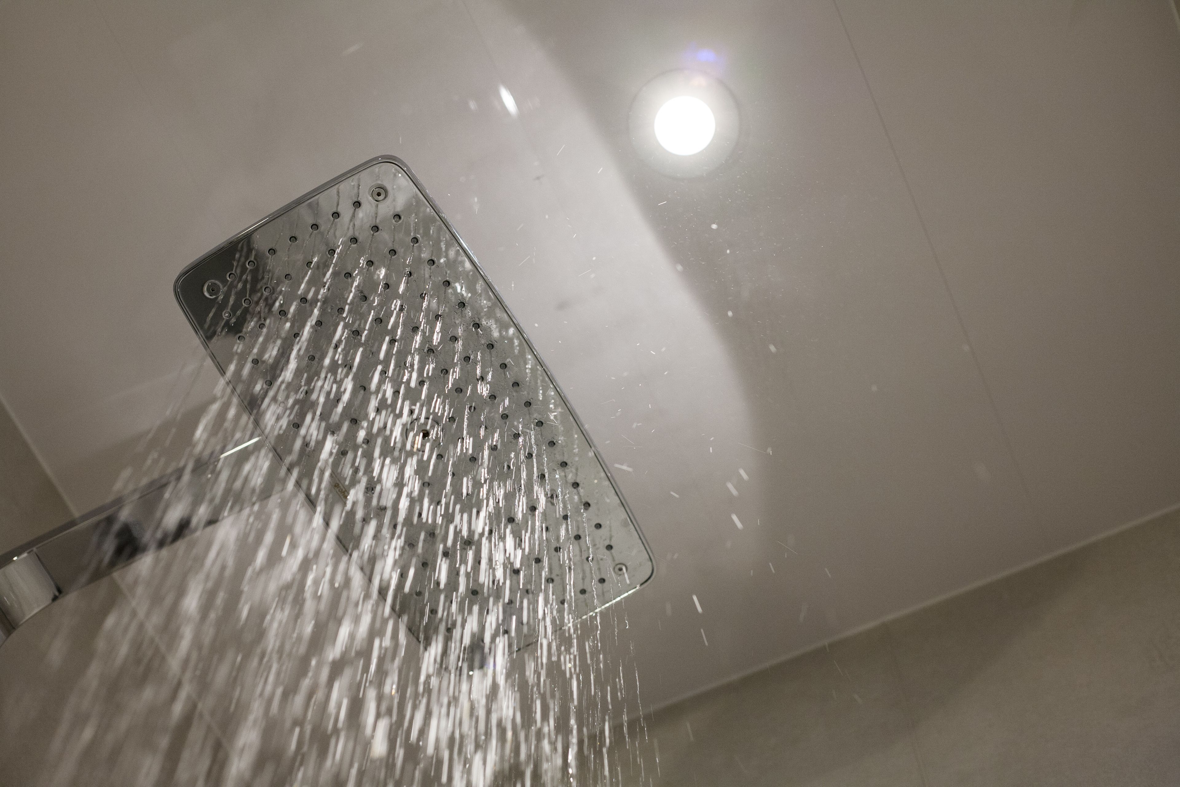 Foto - The Pack And Carriage London