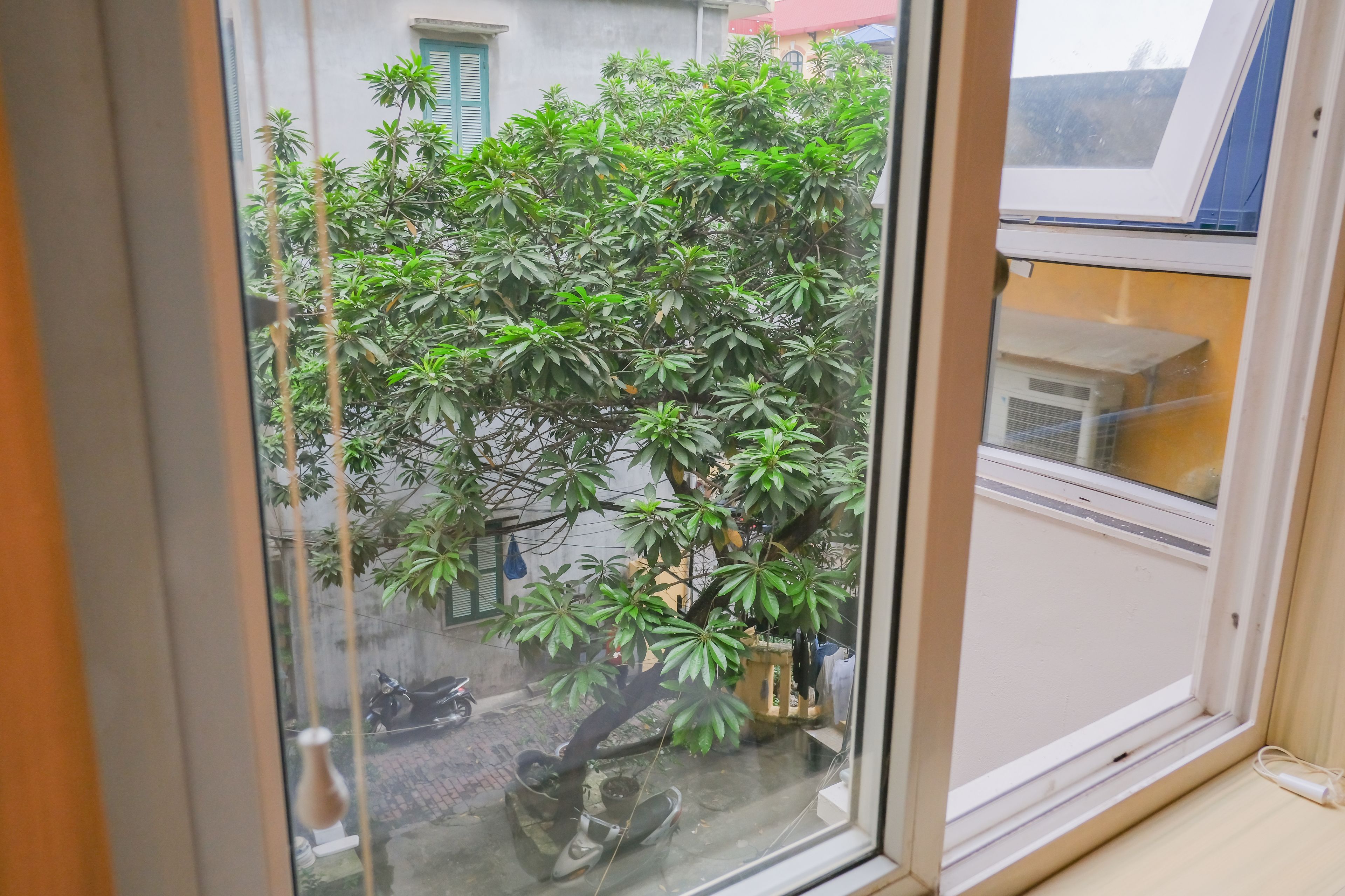 A window with a view of a tree and a parked motorcycle outside.
