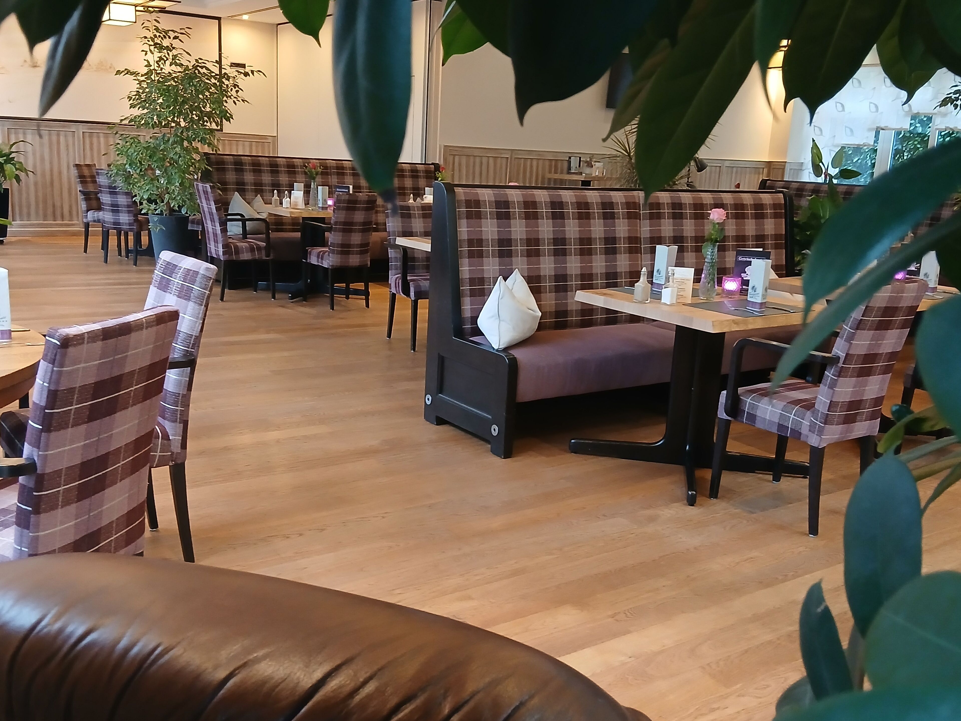 Un restaurante con asientos y cabinas a cuadros, suelo de madera y plantas en macetas.