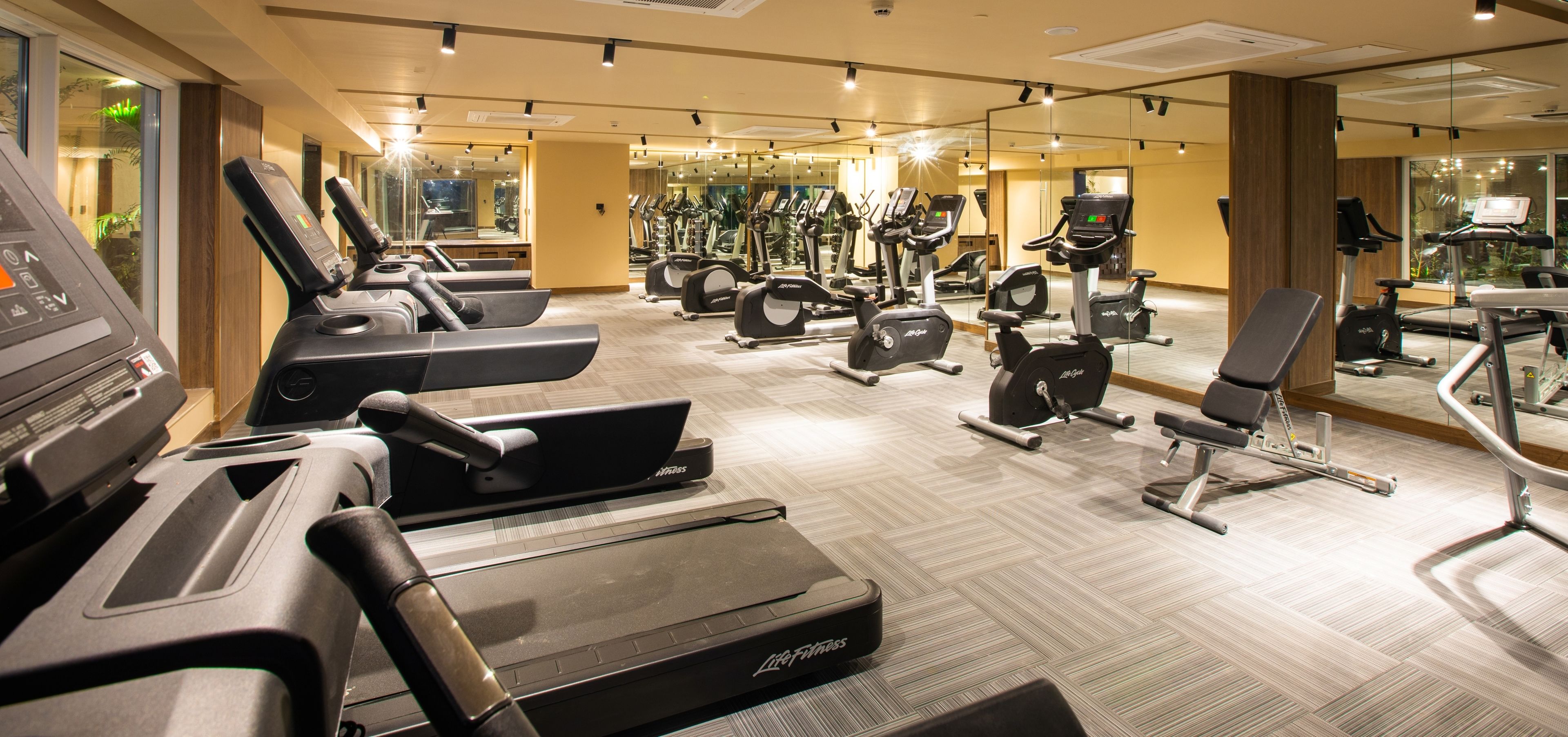 A gym with treadmills, elliptical machines, and weight equipment.