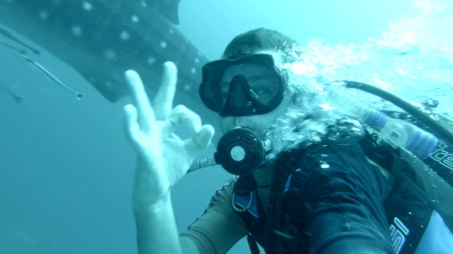 A diver underwater, wearing a snorkel and scuba gear, with a hand gesture visible.