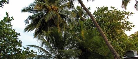 Façade de lâhĂ©bergement