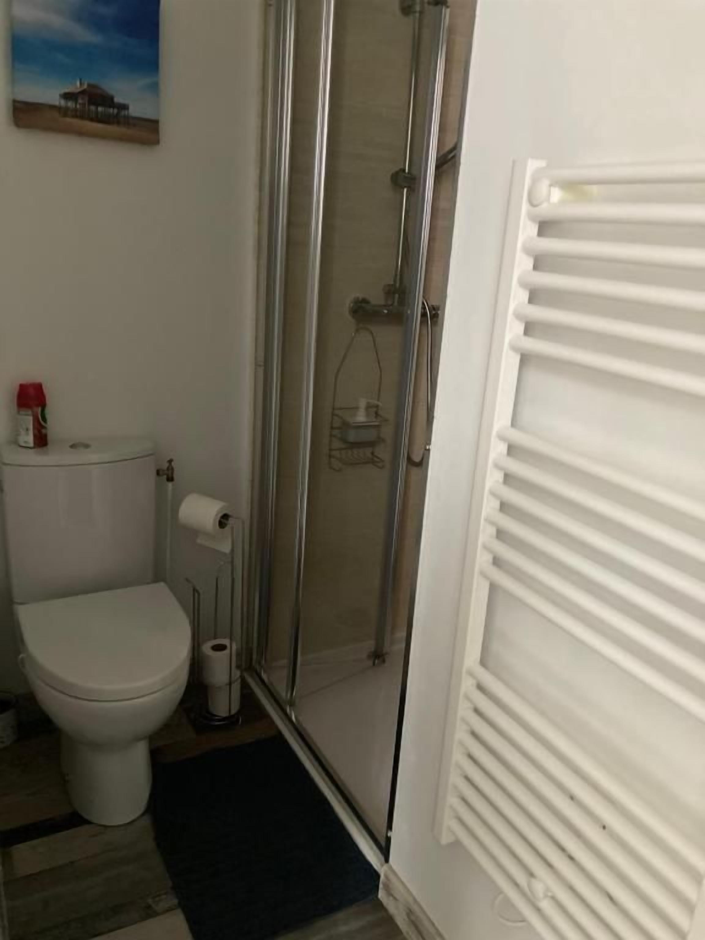 A bathroom with a toilet, a shower enclosure, and a radiator.