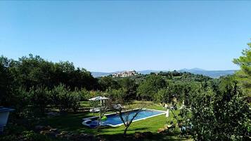 Căn hộ Deluxe | Trang trí khác biệt, bàn, bộ trải giường