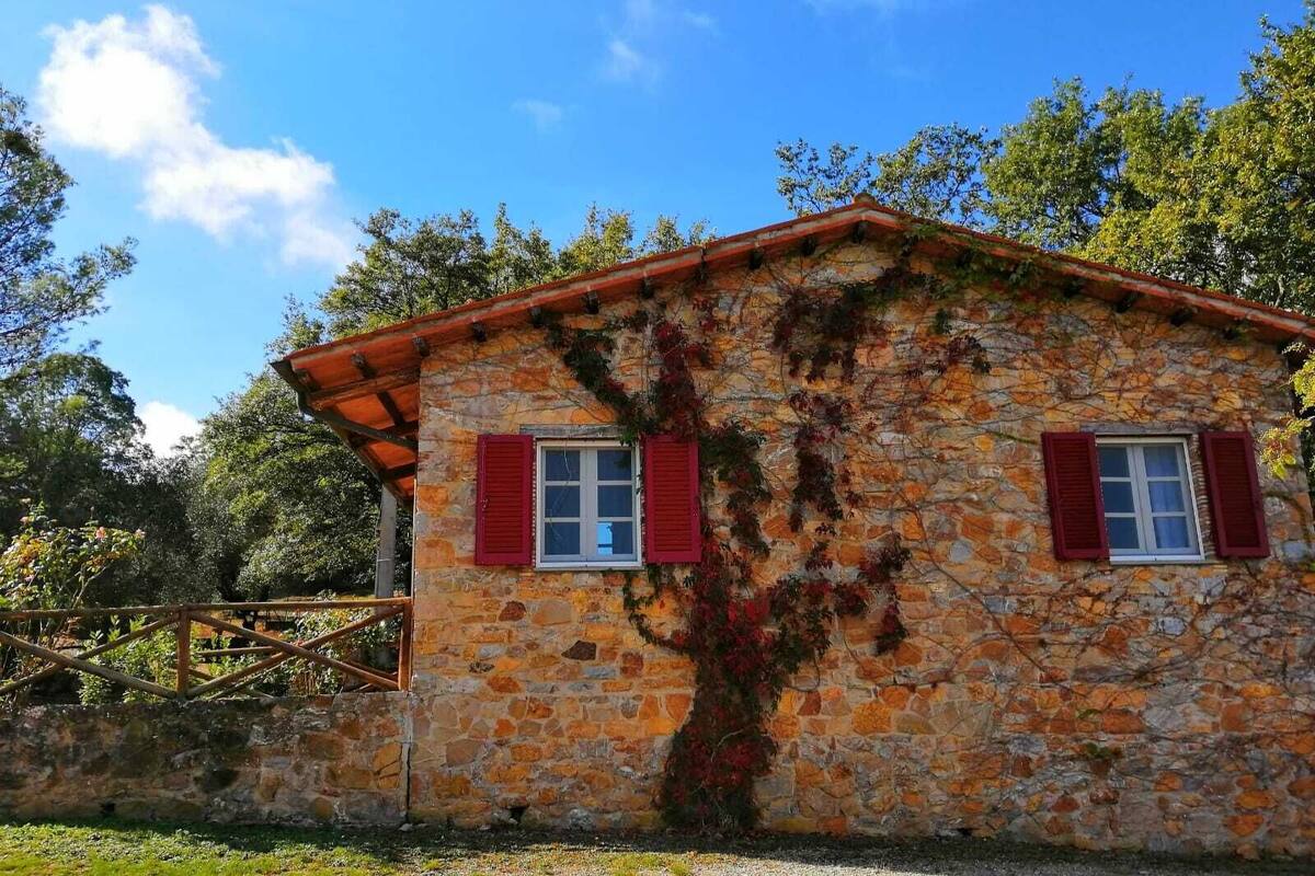 Un bâtiment en pierre avec des volets rouges, un toit en pente et un mur recouvert de lierre.