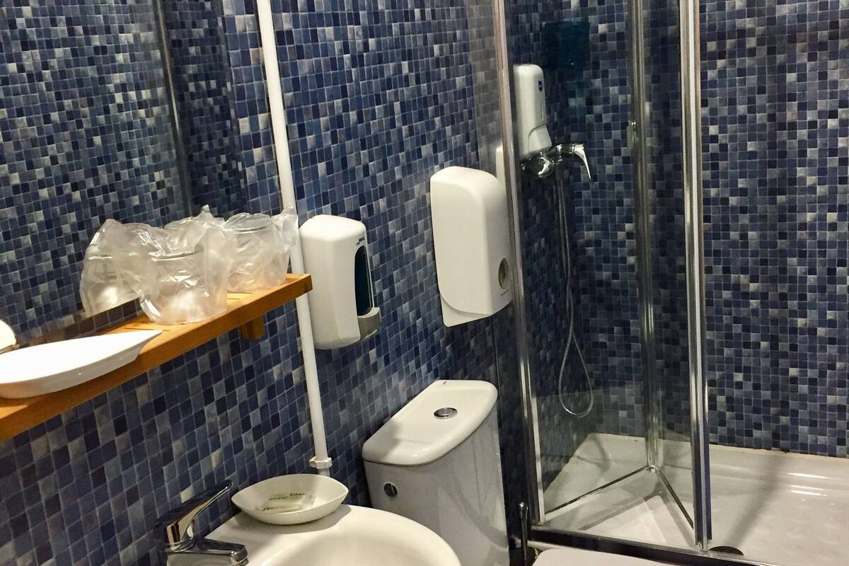 shower, free toiletries, hair dryer, slippers