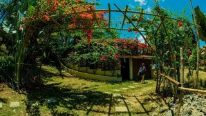 Ein Garten mit einer Holzpergola, üppigem Grün und einem kleinen Gebäude.