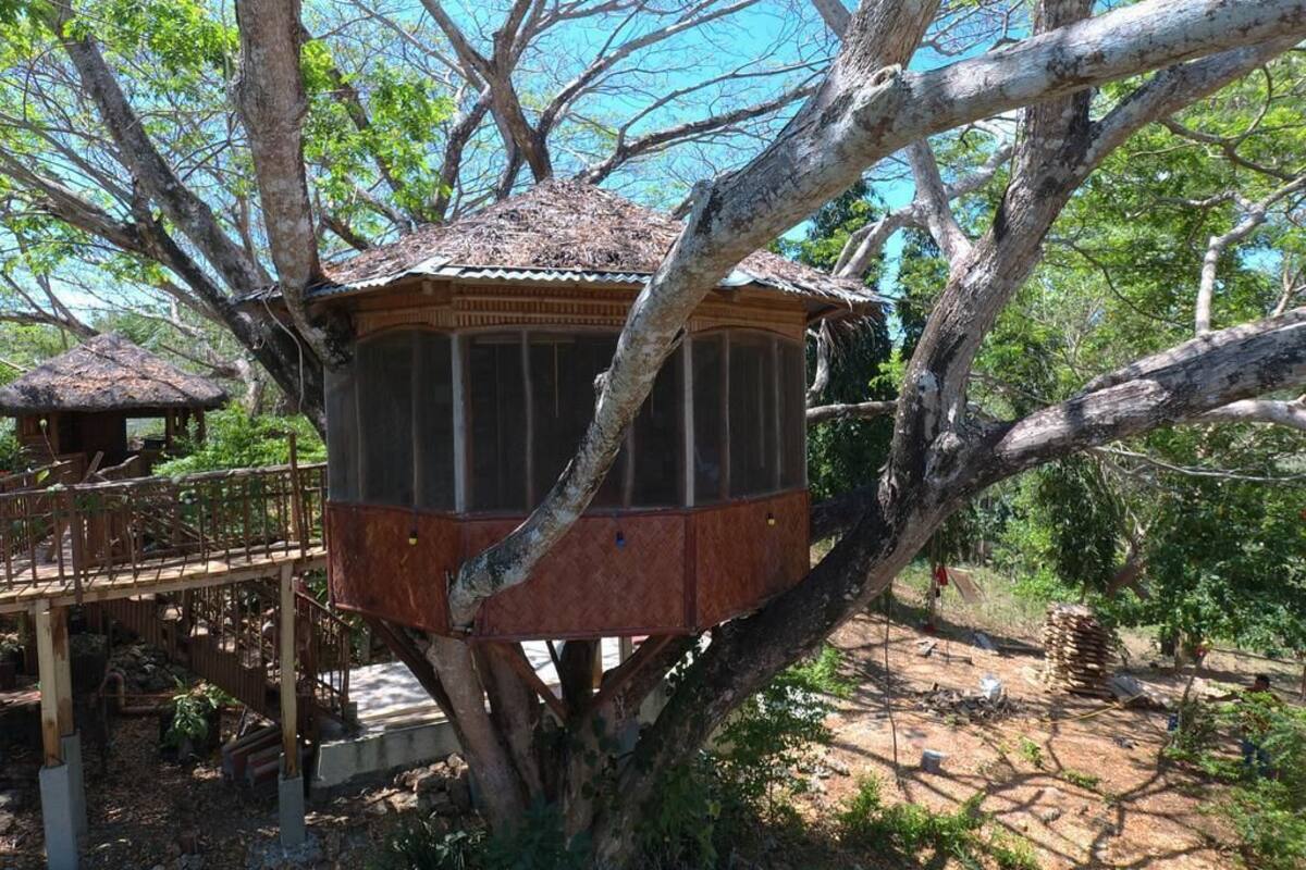 Une cabane perchée dans un arbre, avec un toit de chaume, entourée d’arbres et dotée d’une terrasse en bois.