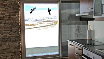 Kabin, 2 kamar tidur, pemandangan gunung | Dapur pribadi | Lemari es, microwave, oven, dan kompor