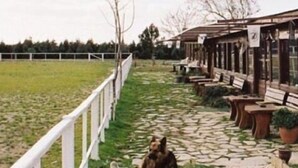 Ein rustikales Holzhaus mit einer Veranda und Topfpflanzen.