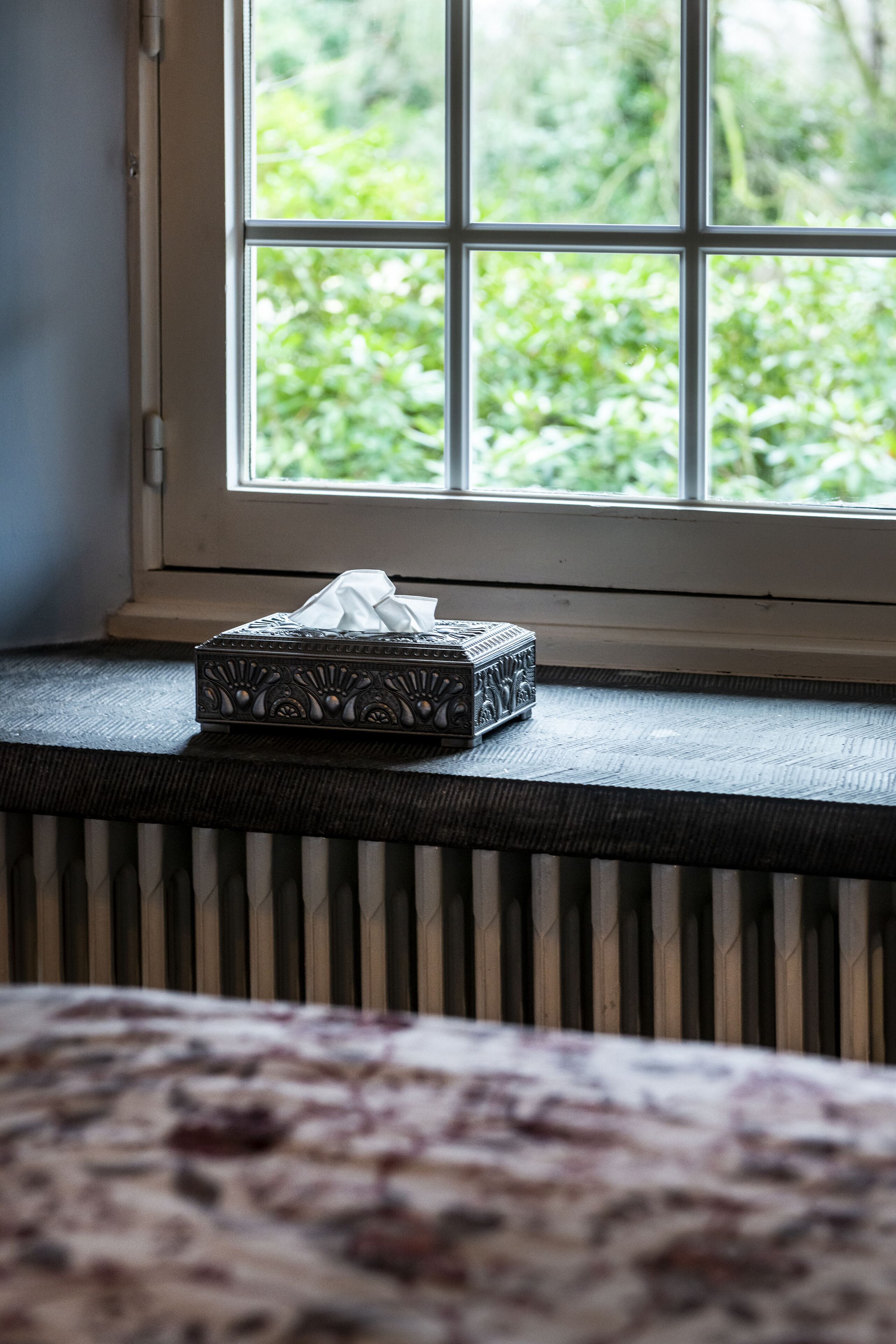 A window with a view of greenery, a radiator, and a tissue box on a ledge.