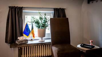 A room with a window, curtains, a radiator, a potted plant, flags, a tissue box, and a chair.