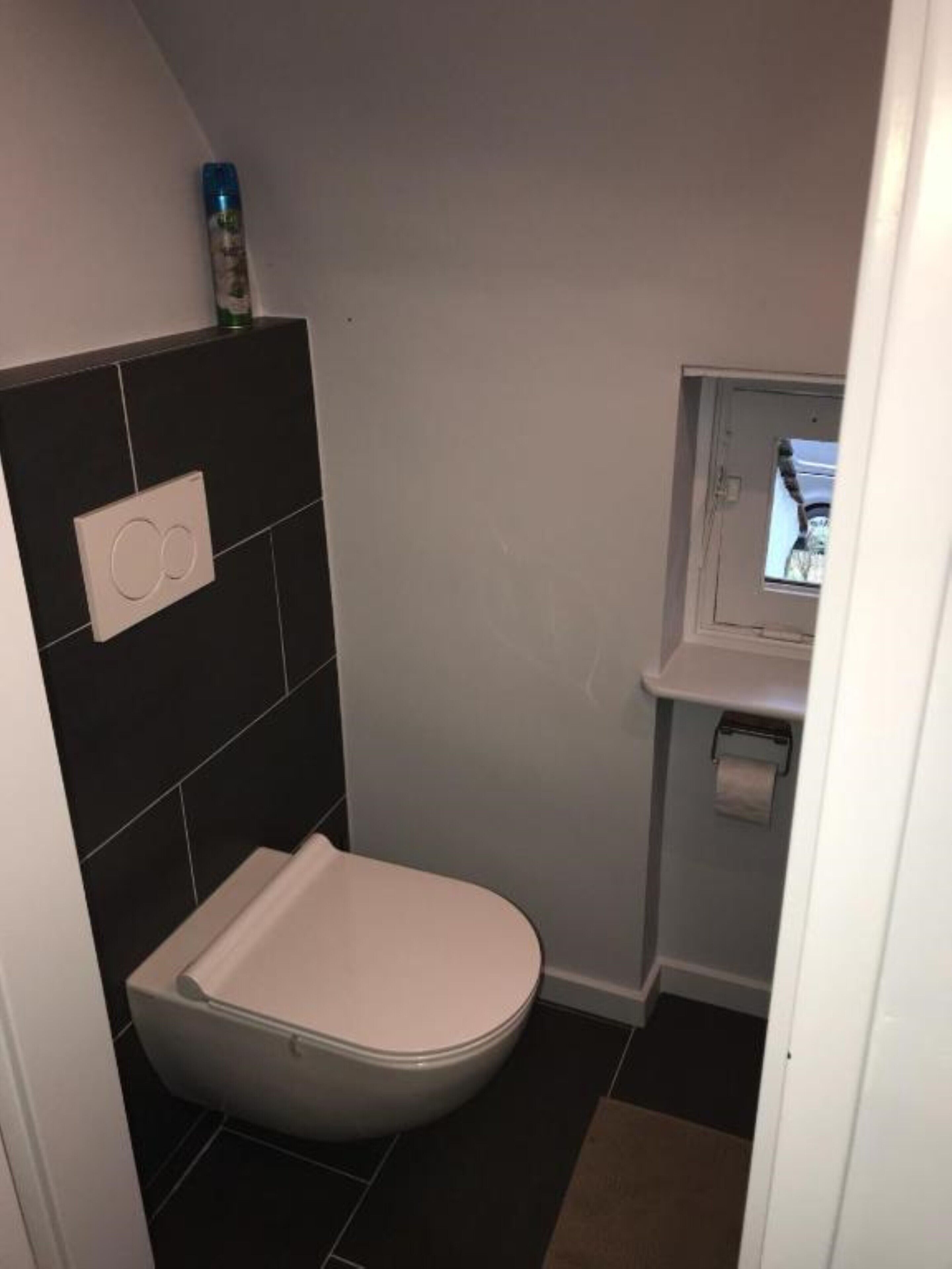 Een kleine badkamer met toilet, een wandheater en een raam met uitzicht.