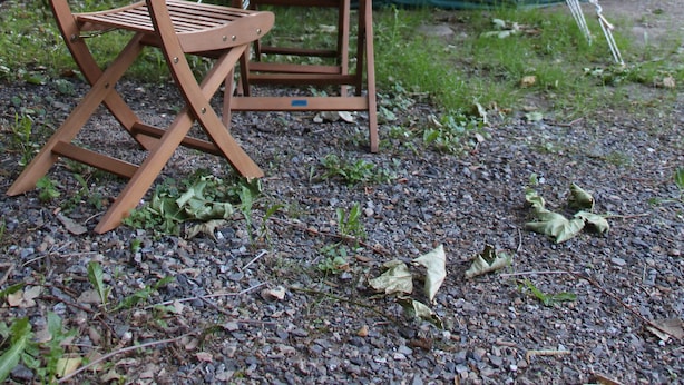A tent with a table and a chair in a wooded area. - Le Moulin Du Luech - Bulles Insolites (Peyremale)