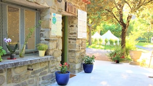 A stone building with a sign reading "Acquaint". There are two potted plants on the steps and a large potted plant in the foreground. - Le Moulin Du Luech - Bulles Insolites (Peyremale)