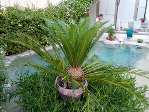 Una piscina al aire libre