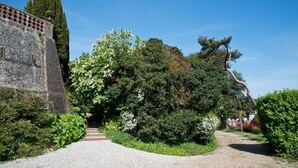 A pathway leading through a garden with a stone wall and dense foliage. - Castel de la Terrasse (Etretat)