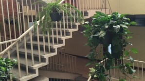 A multi-level building with a concrete staircase, metal railings, and hanging planters with green foliage. - Apartamentos Reforma (Guatemala City)