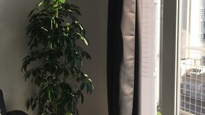 A room with a potted plant, a sofa, and a sliding glass door leading to a balcony. - Furnished apartment T2 St Martin D Héres (Saint-Martin-d'Hères)