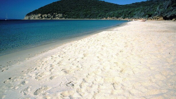 A beach with clear turquoise water, sandy shore, and a forested hill in the background. - Nautilus B&B Suite Design (Follonica)