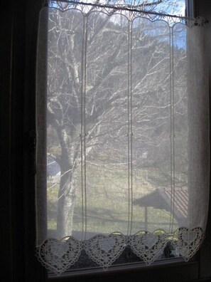 Comfort Apartment | View from room