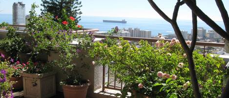 A balcony with potted plants and flowers, overlooking a cityscape and the sea.